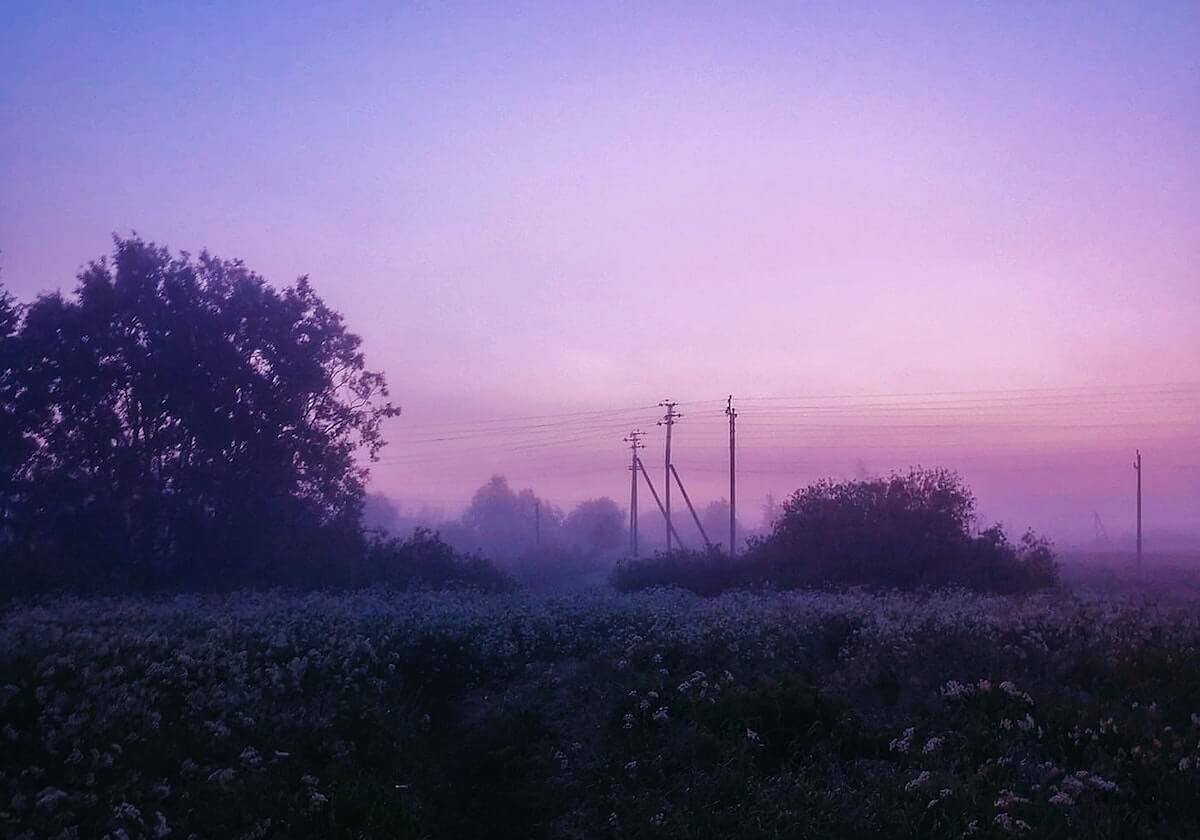 拆解糖心tv官网，它的流量从哪来…以及你能做什么…别急，先看这条细节