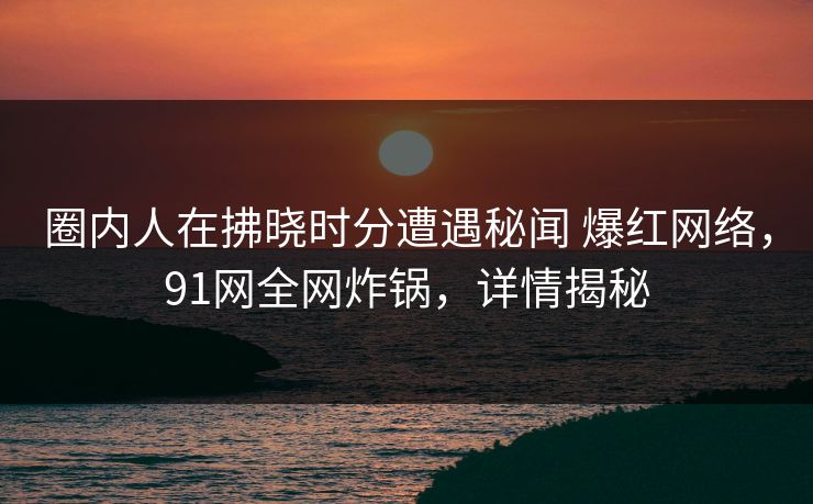 圈内人在拂晓时分遭遇秘闻 爆红网络，91网全网炸锅，详情揭秘