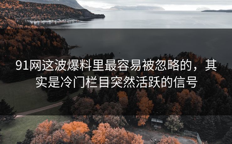 91网这波爆料里最容易被忽略的，其实是冷门栏目突然活跃的信号